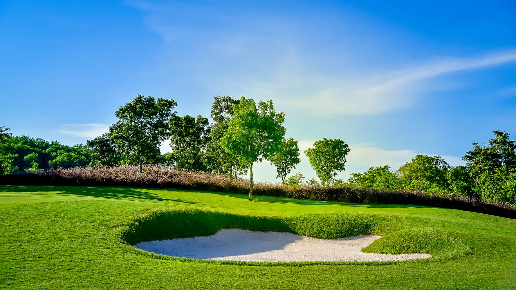 A sand bunker bordered by a green fairway and trees under a blue sky.